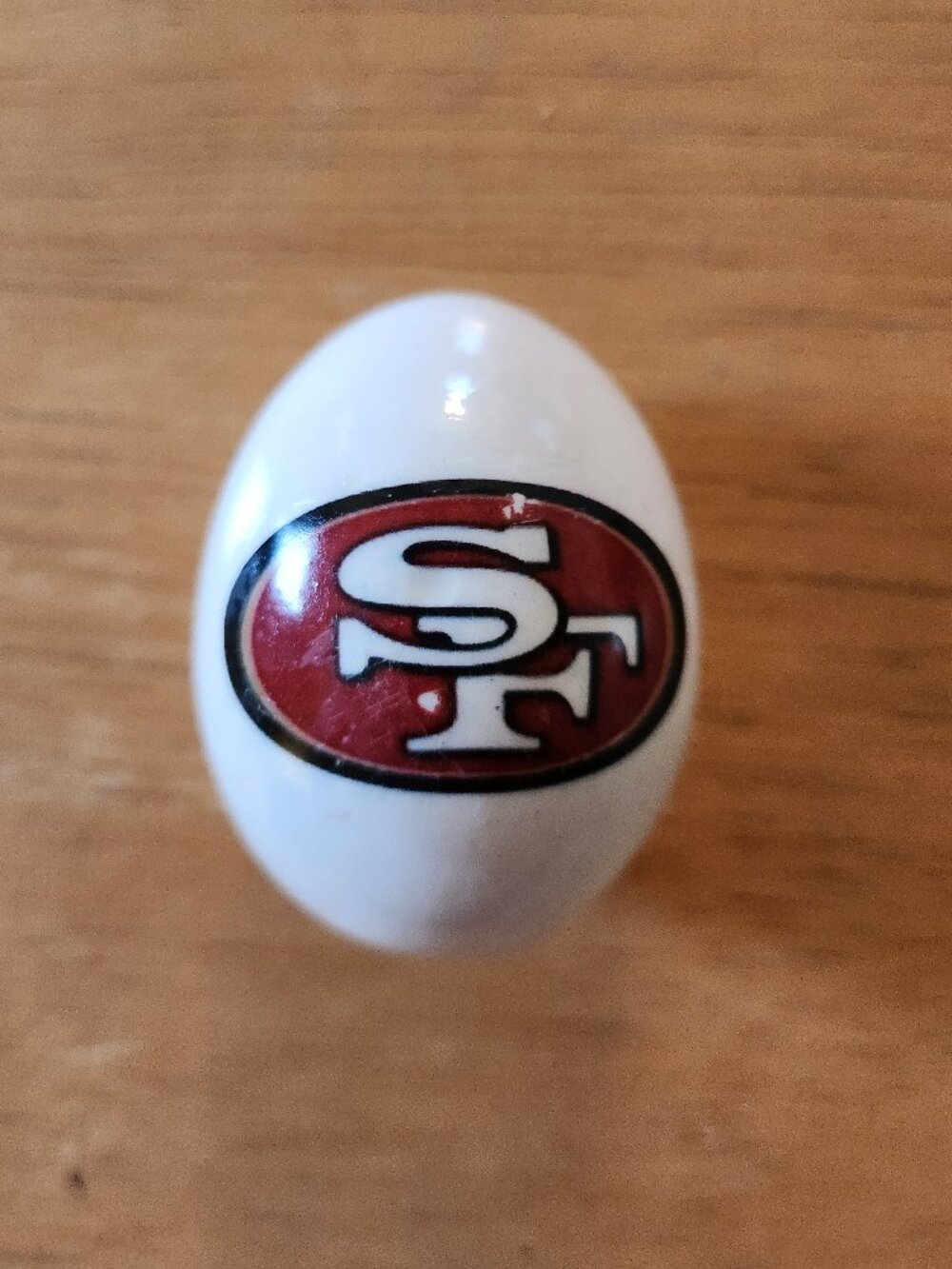 San Francisco 49ers Egg Porcelain Ceramic Home Yard Garden Decor Collectible T7